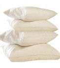 The Natural Transformation by Tomorrow's World 3 1/2" Organic Wool Pillowtop
Regular Wt Organic Wool Comforter
Two Standard Size Reg-Fill Organic Wool Pillows.
All wrapped in smooth organic cotton!
